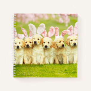 Carnet Rangée de lapins chiots