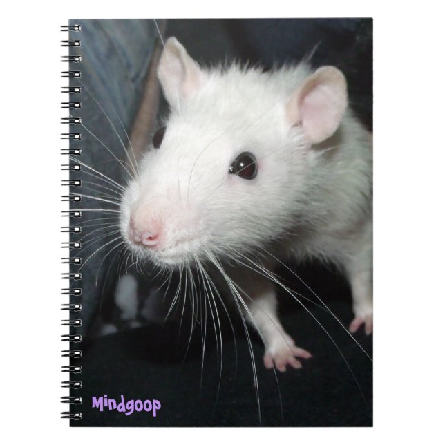 Carnet rat amical (Devant)