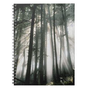 Carnet Rayons de soleil filtrant à travers les arbres, Mo