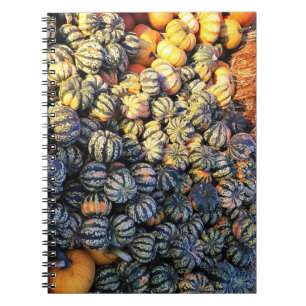 Carnet Rayures Et Citrouilles