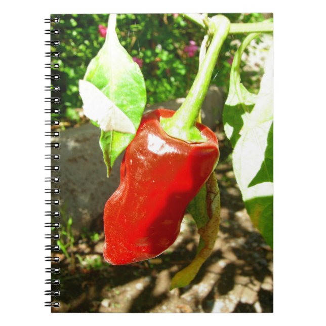 Carnet Red Capsicum (Devant)