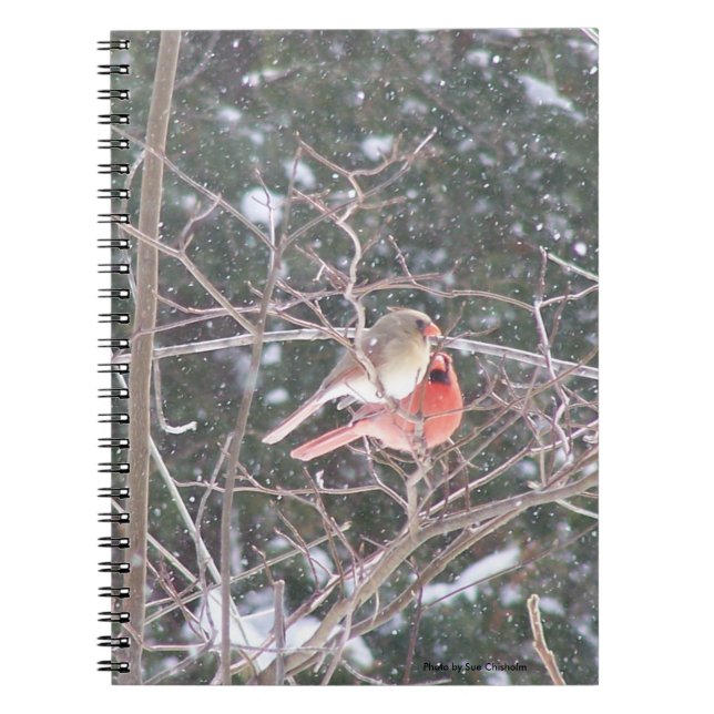 Carnet Red Cardinal Bird (Devant)