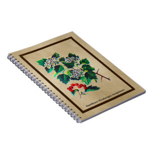 Carnet Redhaw Hawthorn sur vieux papier