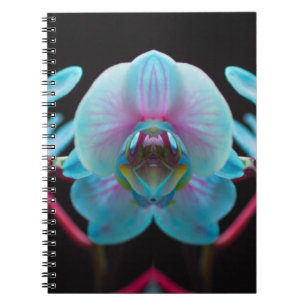 Carnet Réflection de l'orchid bleu exotic