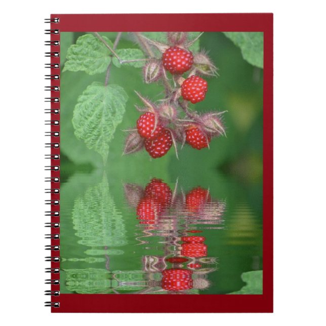 Carnet Réflexions de framboise rouge (Devant)