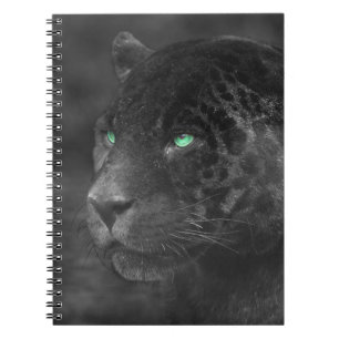 Carnet Regard d'émeraude de Jaguars noirs