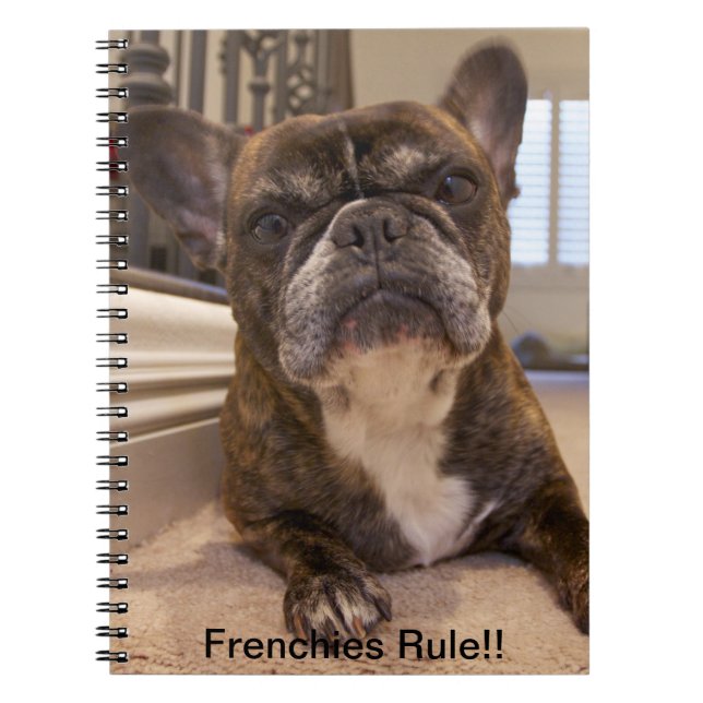 Carnet Règle de Français ! ! (Devant)
