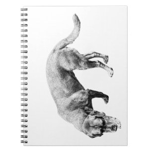 Carnet Remarques sur le sillage