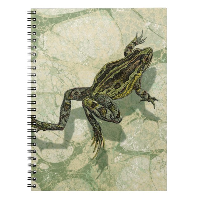Carnet Remonter le crapaud dans l'eau (Devant)