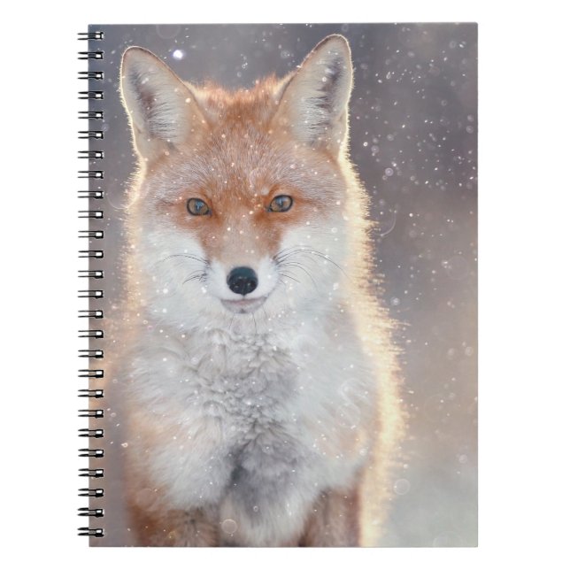 Carnet Renard rouge, forêt d'hiver, illustration pittores (Devant)