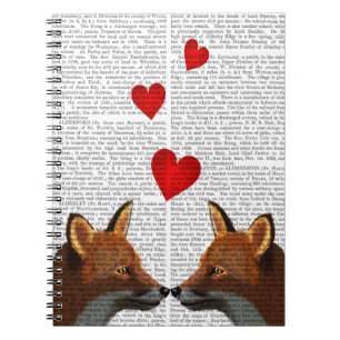 Carnet Renards dans l'amour