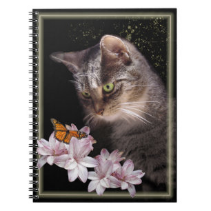 Carnet Rencontre