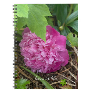 Carnet Repose de la pivoine rose