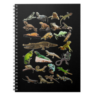 Carnet Reptile Collage Lizard Gecko Dragon Porté