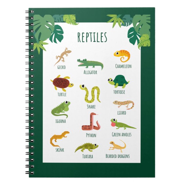 Carnet Reptiles Éducation scolaire Apprentissage (Devant)