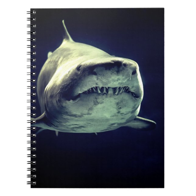 Carnet requin (Devant)