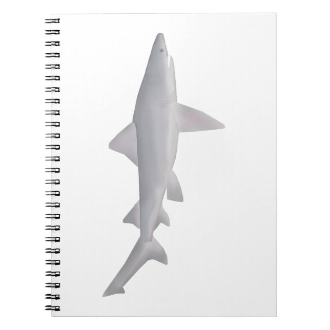 Carnet Requin à bec (Devant)
