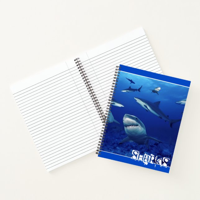 Carnet Requins-carnets (Intérieur)