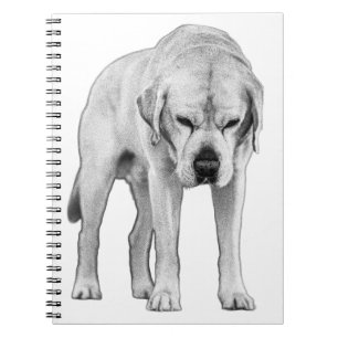 Carnet Résolution ajustée