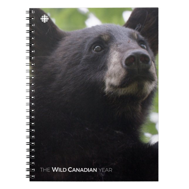 Carnet Ressort - Ours noir (Devant)