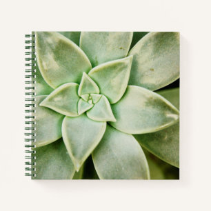 Carnet Ressort Succulent