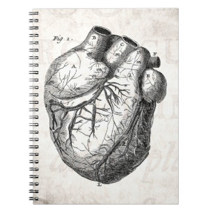 Carnet Rétros coeurs cardiaques d'anatomie de coeur