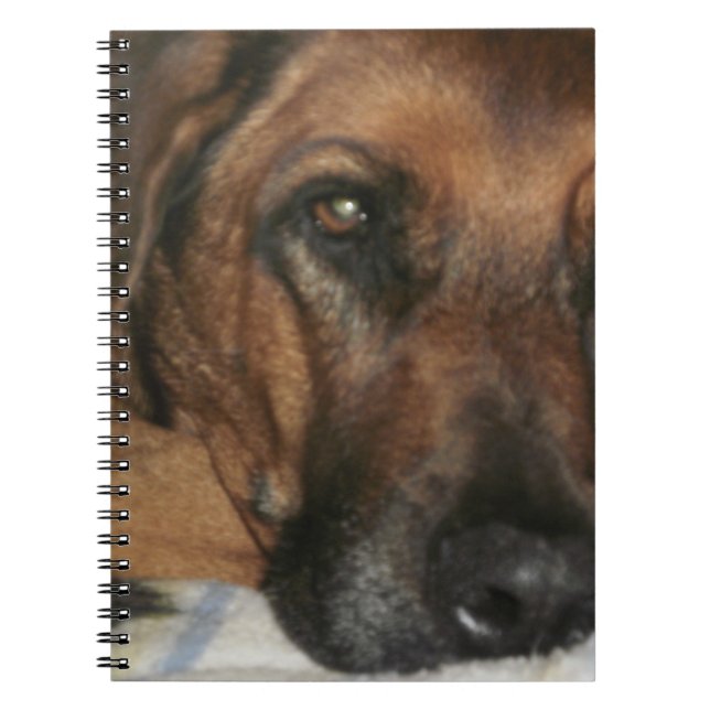 Carnet Rhodesian Ridgeback (Devant)