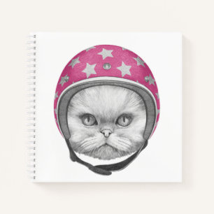 Carnet Rider en moto chats perse