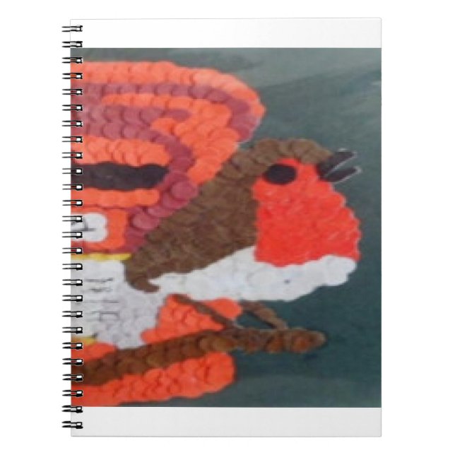 Carnet Robin (Devant)