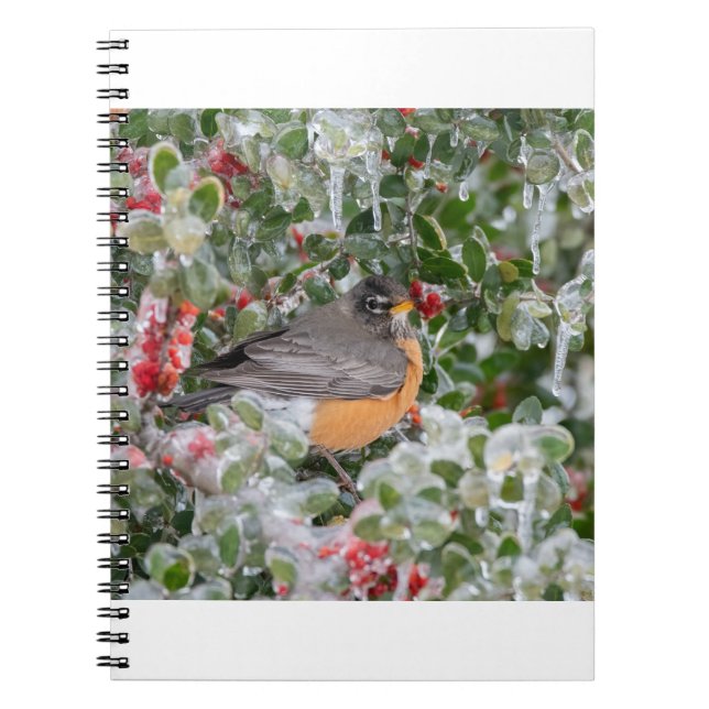Carnet Robin à Noël (Devant)