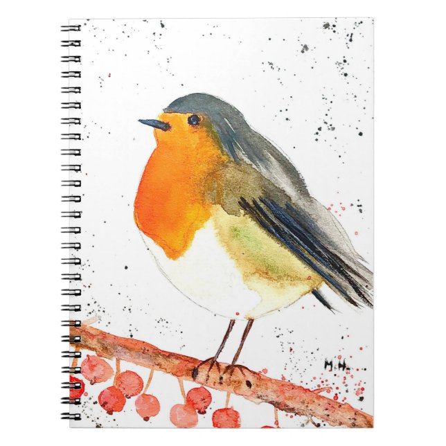 Carnet Robin de Noël (Devant)