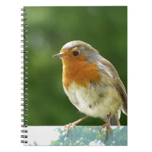 Carnet Robin rouge