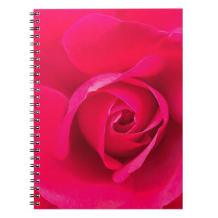 Carnet Romantic Red Pink Rose v2