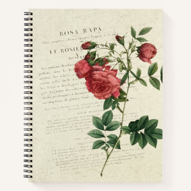 Carnet Rosa Rapa Vintage (Devant)