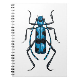 Carnet Rosalia Alpina beetle