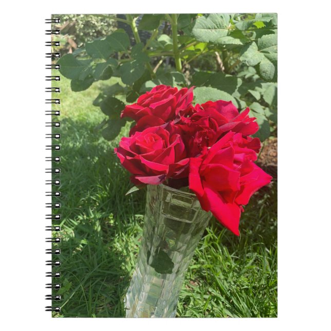Carnet rose (Devant)