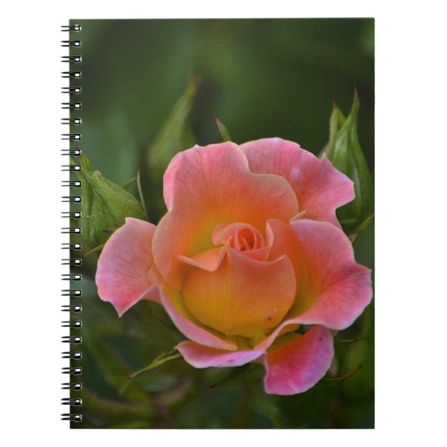 Carnet rose (Devant)