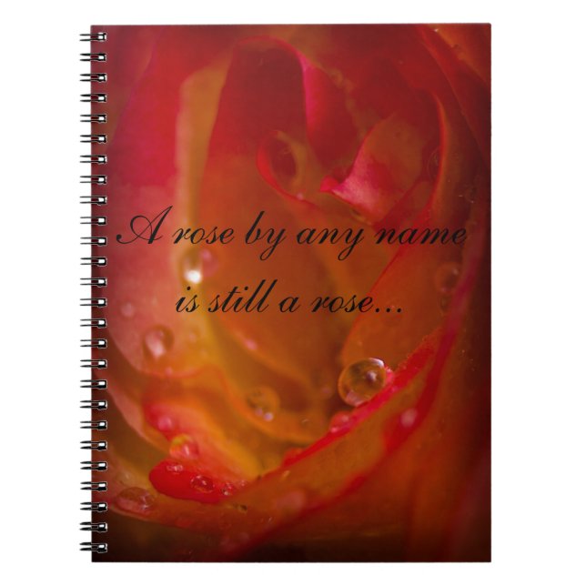 CARNET ROSE 1 (Devant)