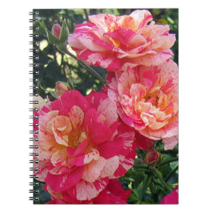 Carnet Rose à rayures roses et blanches Floral Art Small