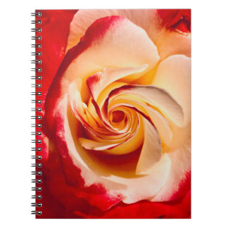 Carnet Rose à torsion