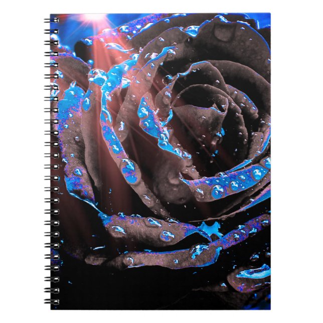 Carnet Rose bleu (Devant)