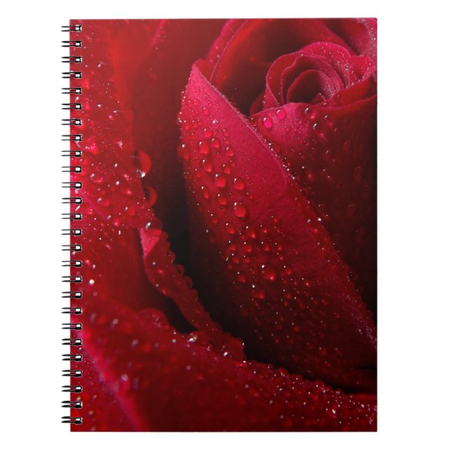 Carnet Rose de macro rouge avec gouttelettes d'eau (Devant)