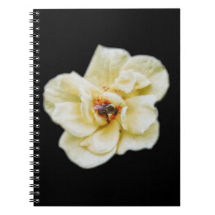 Carnet Rose et abeille