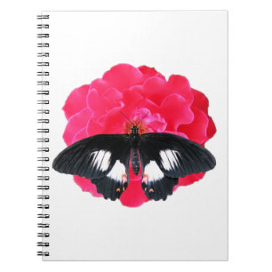 Carnet Rose et Swallowtail