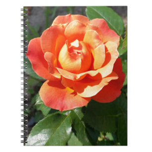 Carnet rose jaune brillant