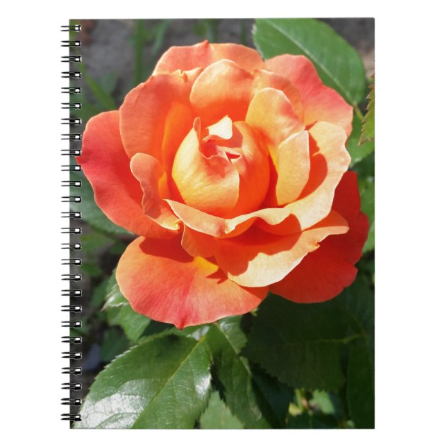 Carnet rose jaune brillant (Devant)