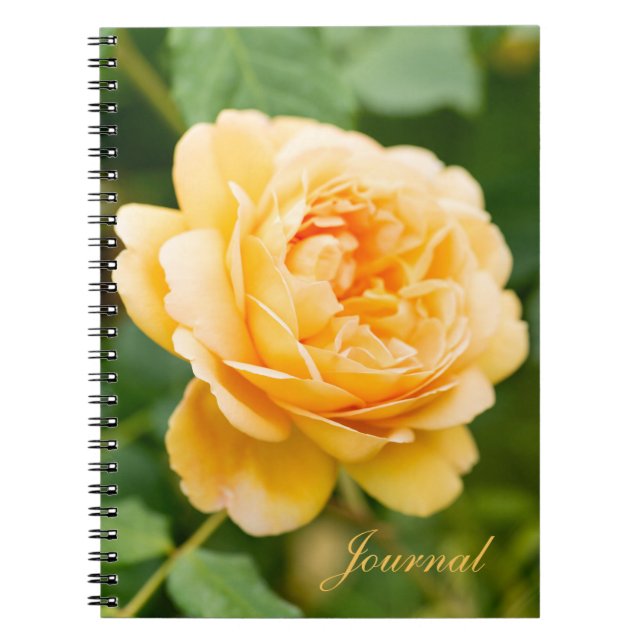 Carnet Rose jaune orange (Devant)