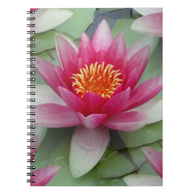 Carnet Rose Lotus Water Lily (Devant)
