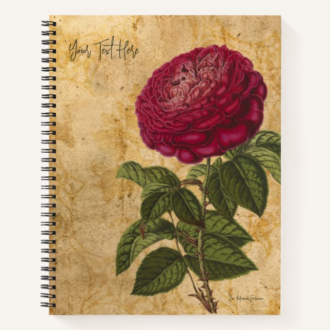 Carnet Rose Monsieur Journeaux Vintage (Devant)