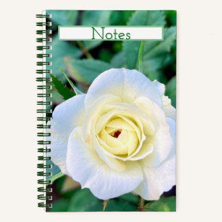 Carnet Rose notebook that can also be a journal. 